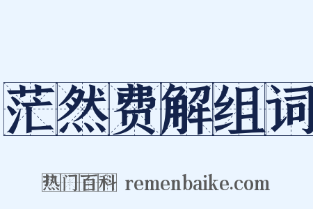 茫然费解组词是什么意思的图片